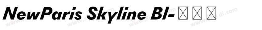 NewParis Skyline Bl字体转换 NewParis Skyline Bl字体转换
